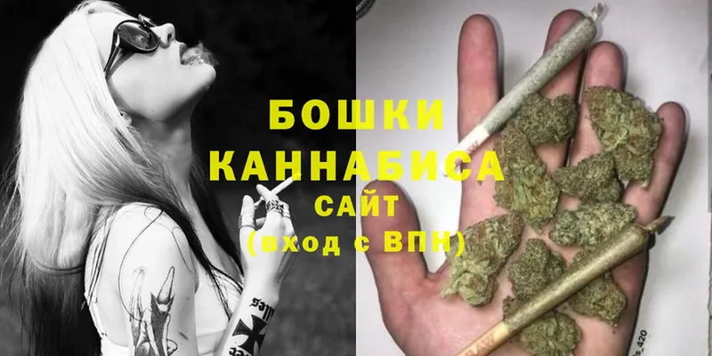 Канабис OG Kush  Сольцы 